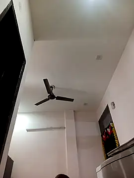 Trisha 71 online show from January 2026 04:29:02 AM