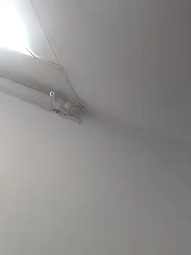 Tattoboy19cm online show from October 2025 08:09:01 PM