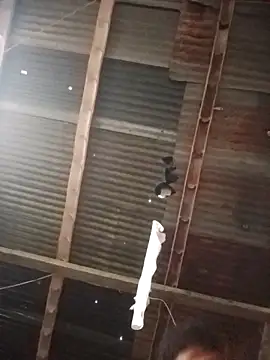 Davir2001 online show from March 2026 11:56:02 AM