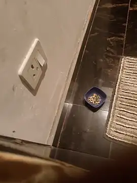 HootedTuner online show from November 2025 08:08:02 PM