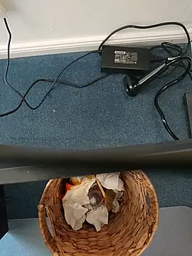 MyDick4You666 online show from March 2026 10:44:01 AM