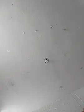 Valenn fernandez online show from March 2026 02:56:01 PM