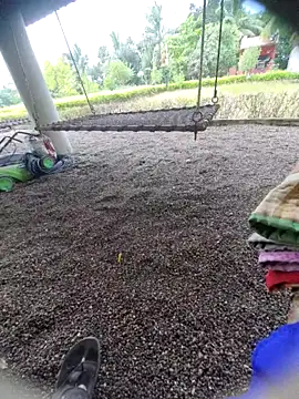 Desi Horny Boys online show from September 2025 06:13:01 AM