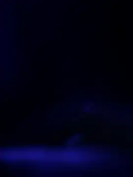 curis4270panda online show from February 2026 11:39:01 AM