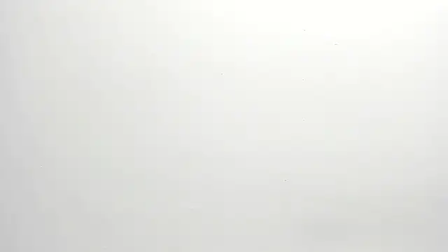 ximena vasquez8 online show from December 2025 03:01:02 AM