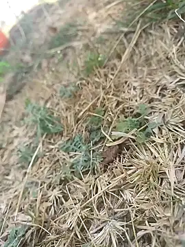 mkallu1995 online show from March 2026 06:09:02 AM