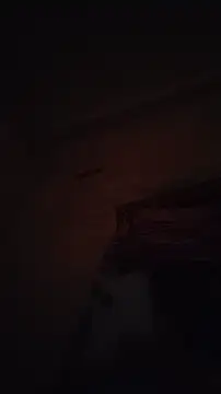 desimanddk online show from March 2026 10:40:01 PM