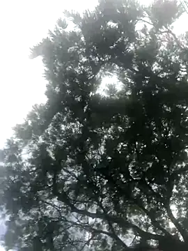 Snapshot of BryanaSmith21 chatting on September 2025 12:28:02 PM BryanaSmith21 online show from September 2025 12:28:02 PM