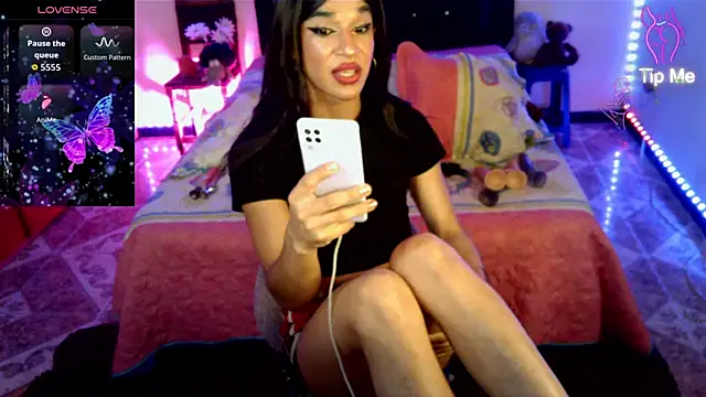 terra sunligth online show from March 2026 03:34:01 AM