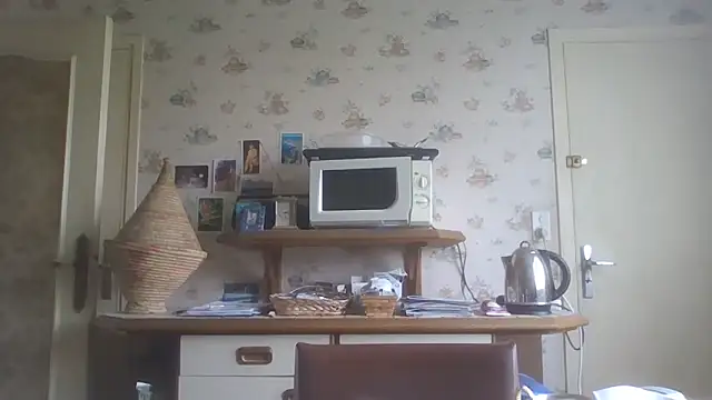 Snapshot of gegevincent chatting on March 2026 12:08:01 PM gegevincent online show from March 2026 12:08:01 PM