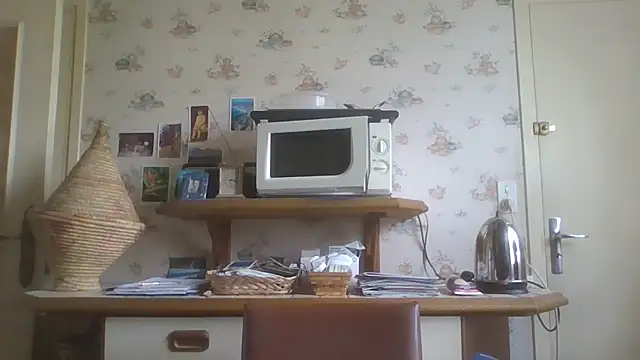 Snapshot of gegevincent chatting on March 2026 11:38:01 AM gegevincent online show from March 2026 11:38:01 AM