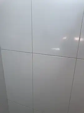 Brinquedo-da-zoe online show from March 2026 07:20:02 PM