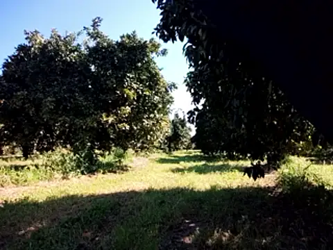 stefanoss321 online show from March 2026 09:24:01 AM