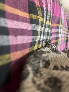 zack6x online show from September 2025 04:03:01 AM