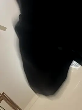 zack6x online show from December 2025 03:40:02 PM