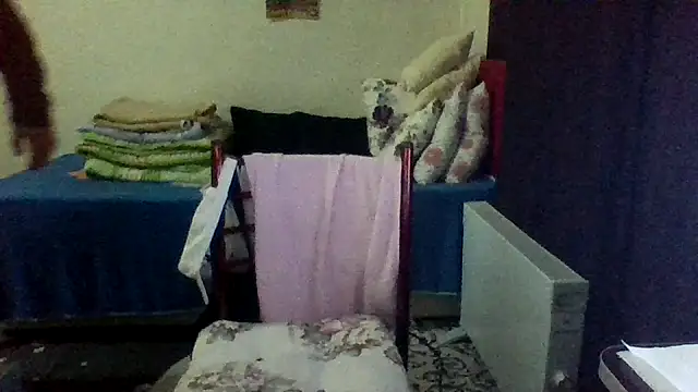 st206boy online show from January 2026 12:25:02 AM