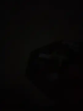 Snapshot of mario231197 chatting on February 2026 01:31:01 AM mario231197 online show from February 2026 01:31:01 AM