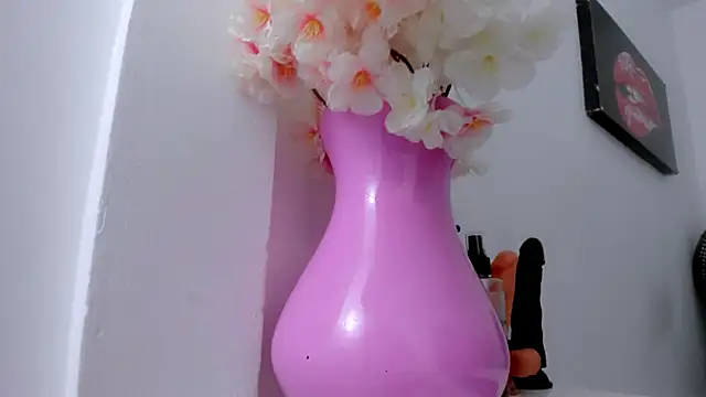 Snapshot of eimy_skinny_ chatting on January 2026 01:04:01 PM eimy skinny online show from January 2026 01:04:01 PM