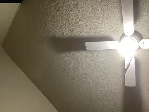 NiftyCaptain3 online show from March 2026 03:45:01 PM