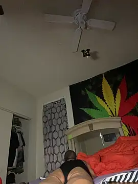 NiftyCaptain3 online show from April 2026 07:06:02 AM