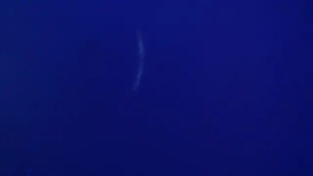 The1BBC online show from February 2026 04:13:02 PM