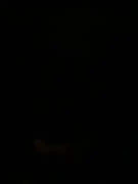 golid online show from September 2025 02:49:01 AM