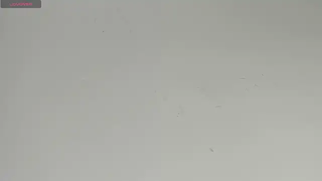 Sophia Ebony online show from April 2026 01:03:02 PM