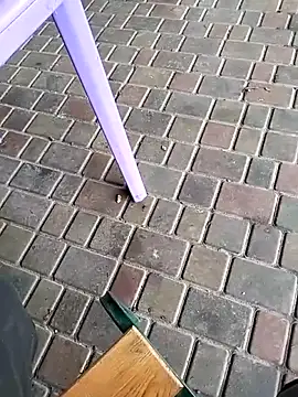 Odecca11 online show from November 2025 08:25:02 AM