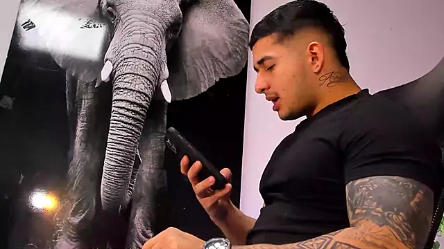 king falconer online show from October 2025 03:10:02 AM