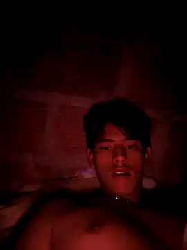 Snapshot of Hiroshi_Shen chatting on April 2026 03:49:02 AM Hiroshi Shen online show from April 2026 03:49:02 AM