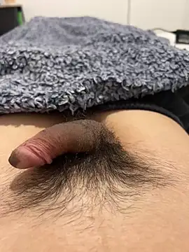 Snapshot of josefasanchez chatting on October 2025 08:08:01 PM josefasanchez online show from October 2025 08:08:01 PM