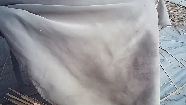 Elisa24 online show from January 2026 01:22:02 AM