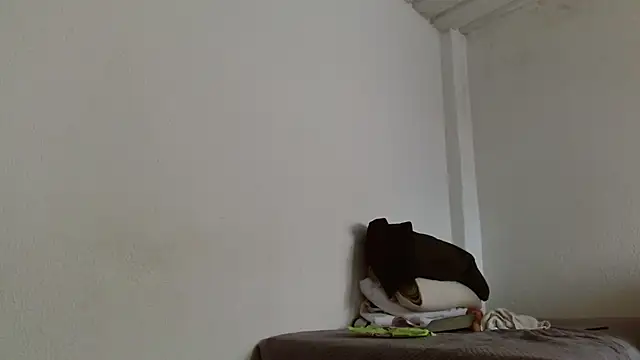 isabel 24 gil online show from November 2025 04:50:01 PM