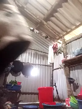 jienrrr online show from December 2025 12:16:02 AM