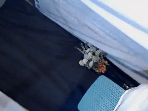 xyourdreamtrans online show from September 2025 09:34:01 AM