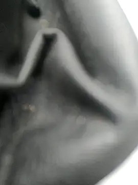 legaros online show from October 2025 03:12:01 PM