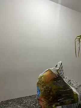 megan bigboobs  online show from September 2025 07:24:02 PM