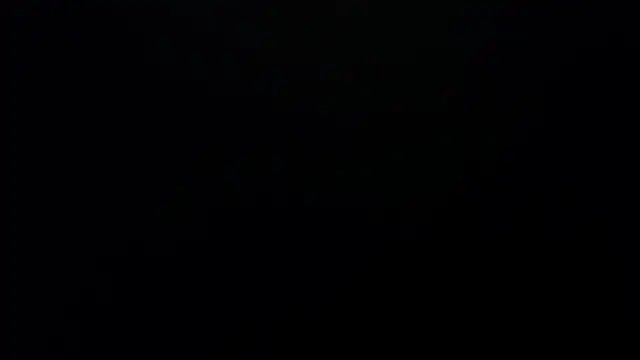 Snapshot of bossking017 chatting on February 2026 04:03:02 PM bossking017 online show from February 2026 04:03:02 PM