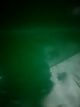 daisylouis online show from April 2026 12:14:01 PM