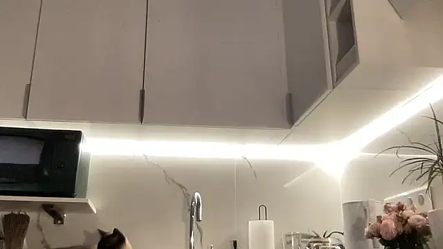 Snapshot of Gidelii chatting on October 2025 06:52:02 PM Gidelii online show from October 2025 06:52:02 PM