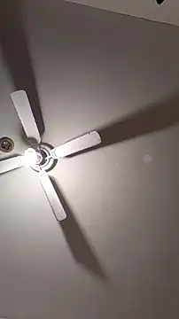 Cnutt310 online show from March 2026 11:06:01 AM