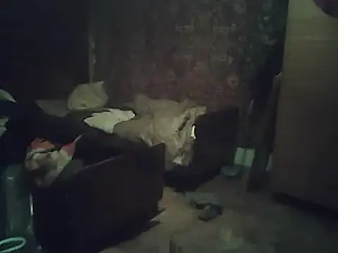 A1B3- online show from February 2026 03:55:01 PM