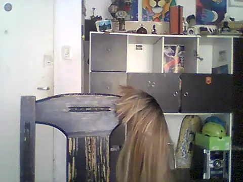 Snapshot of Bebita-zmp chatting on May 2026 04:03:01 PM Bebita-zmp online show from May 2026 04:03:01 PM