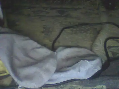 Bebita-zmp online show from July 2026 04:32:02 PM