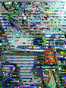 Snapshot of ISHANI-SINGH chatting on November 2025 03:37:02 PM ISHANI-SINGH online show from November 2025 03:37:02 PM