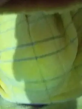 Hnonasix89 online show from November 2025 01:33:02 PM