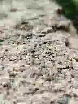 Girls pussy rider online show from September 2025 01:49:01 AM