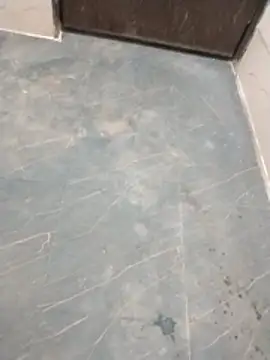 Wet BunnyFun online show from April 2026 06:02:01 PM