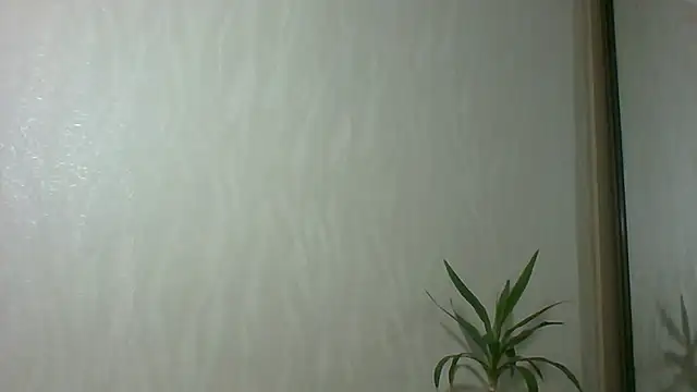 Marellaa online show from December 2025 11:52:02 AM