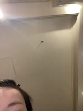 MengMeng0515 online show from March 2026 02:23:02 PM